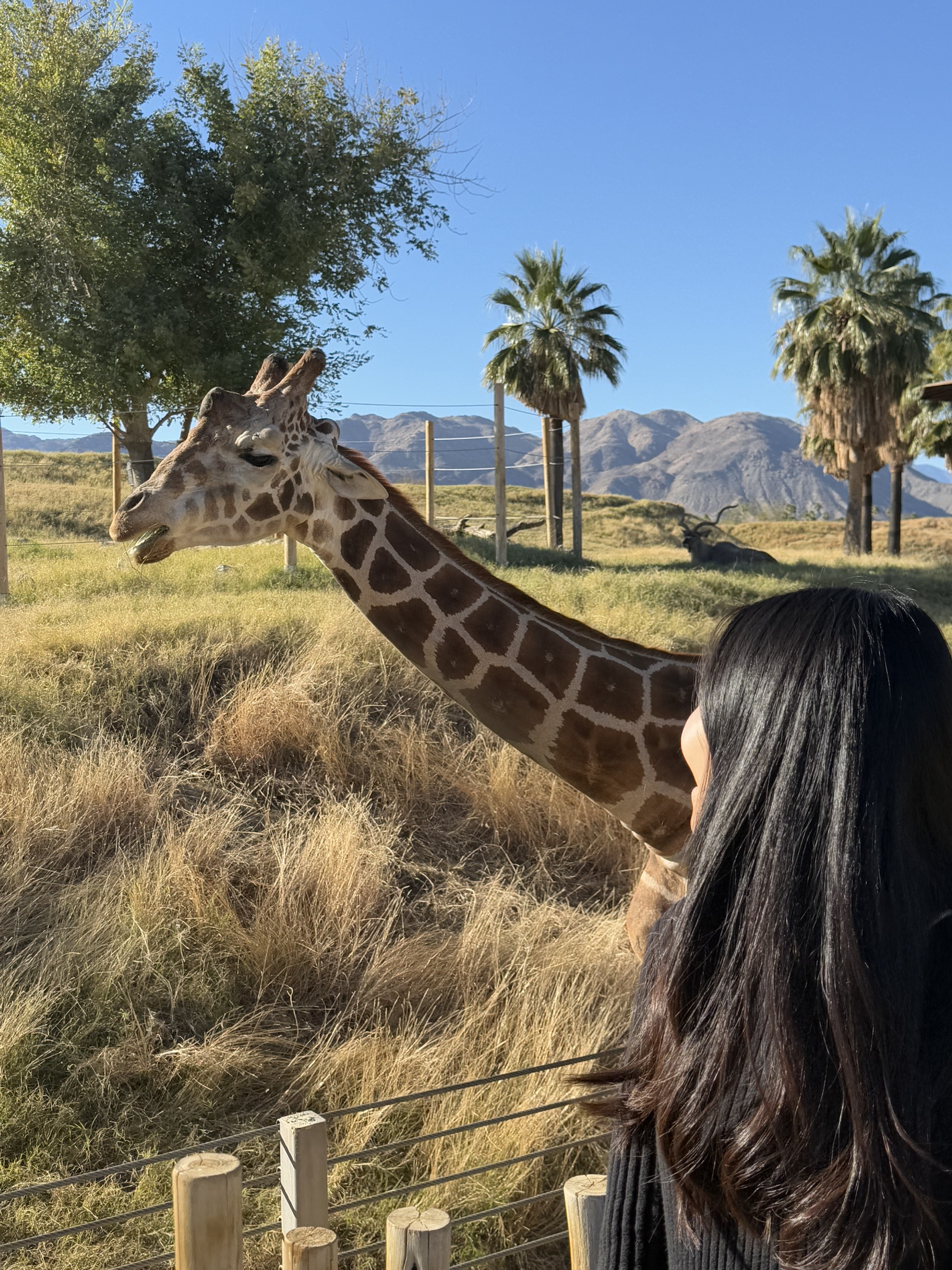 Postcard from Palm Desert